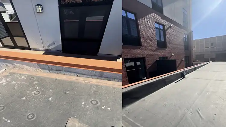 Dina Periello's House - Roof