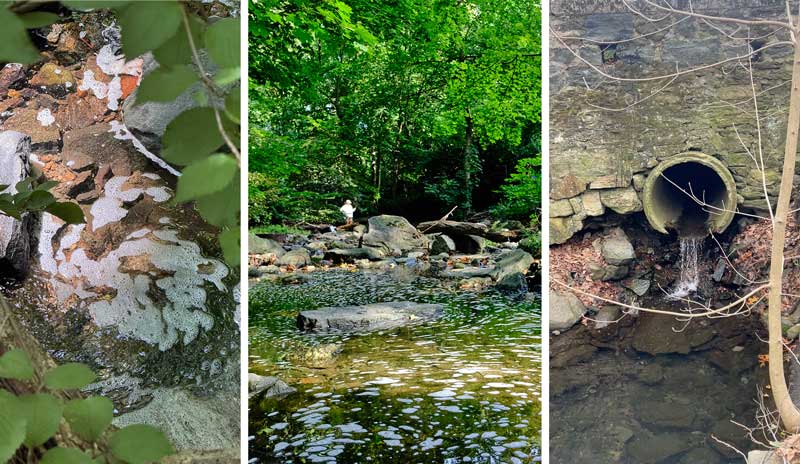 hunts-woods-pollution