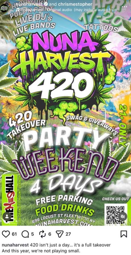 nuna-harvest-cannabis